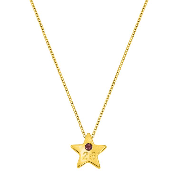 Κολίε Γούρι 2026 Επιχρυσωμένο Με Αστέρι AA13758