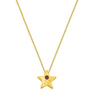 Κολίε Γούρι 2026 Επιχρυσωμένο Με Αστέρι AA13758