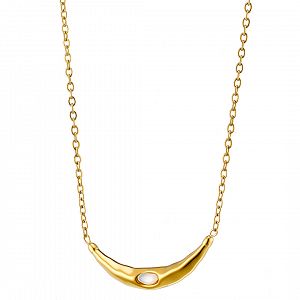 Κολίε Από Ατσάλι Επιχρυσωμένο 24Κ AS13804