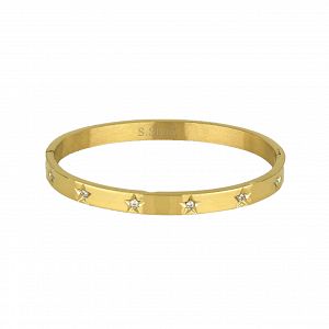 Βραχιόλι Βέργα Από Ατσάλι Επιχρυσωμένο Με Ζιργκόν TU29754