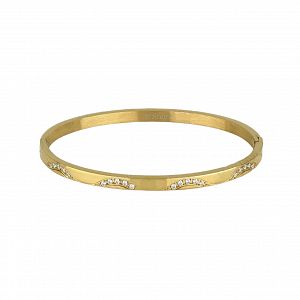 Βραχιόλι Βέργα Από Ατσάλι Επιχρυσωμένο Με Ζιργκόν TU29784