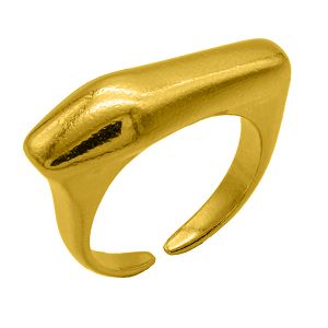 Δαχτυλίδι Από Ορείχαλκο Επιχρυσωμένο 24Κ Ασύμμετρο PF37392
