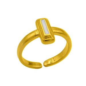 Δαχτυλίδι Από Ορείχαλκο Επιχρυσωμένο 24Κ Minimal PF37424