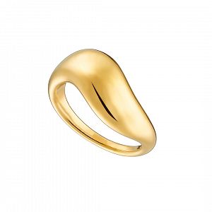 Δαχτυλίδι Από Ατσάλι Επιχρυσωμένο AS37556