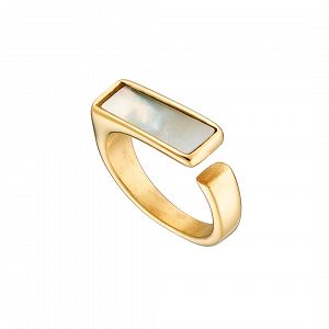 Δαχτυλίδι Από Ατσάλι Επιχρυσωμένο Με Φίλντισι AS37559