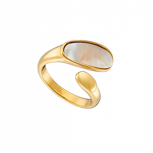 Δαχτυλίδι Από Ατσάλι Επιχρυσωμένο Με Φίλντισι AS37560