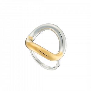 Δαχτυλίδι Δίχρωμο Από Ατσάλι Επιχρυσωμένο AS37564