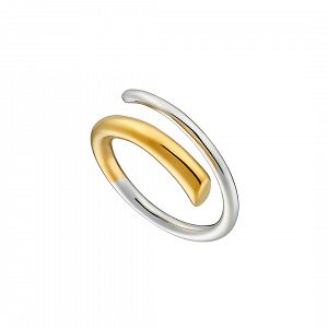 Δαχτυλίδι Δίχρωμο Από Ατσάλι Επιχρυσωμένο AS37565