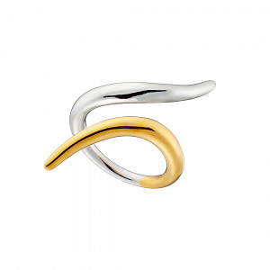 Δαχτυλίδι Δίχρωμο Από Ατσάλι Επιχρυσωμένο AS37566