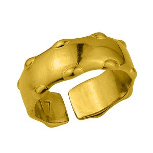 Δαχτυλίδι Από Ορείχαλκο Επιχρυσωμένο 24Κ PF38678