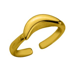 Δαχτυλίδι Από Ορείχαλκο Επιχρυσωμένο 24Κ Boomerang PF38792