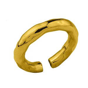 Δαχτυλίδι Από Ορείχαλκο Επιχρυσωμένο 24Κ PF38796