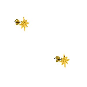 Σκουλαρίκια Από Ορείχαλκο Επιχρυσωμένο 24Κ Αστεράκια PF48549