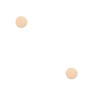 Σκουλαρίκια Από Ασήμι 925 Ροζ Επιχρυσωμένο SU49629