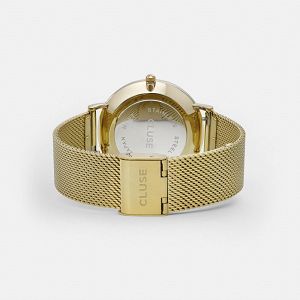 CLUSE LABOHEME Gold Stainless Steel Strap CW0101201014