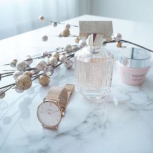 CLUSE Minuit Mesh Rose Gold/White Stainless Steel Strap CW0101203001