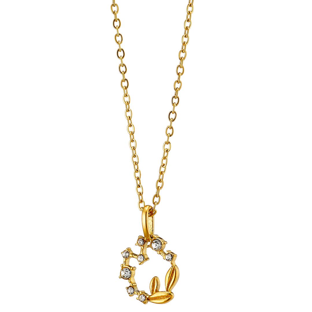 Κολίε Από Ατσάλι Επιχρυσωμένο 24Κ AS13812