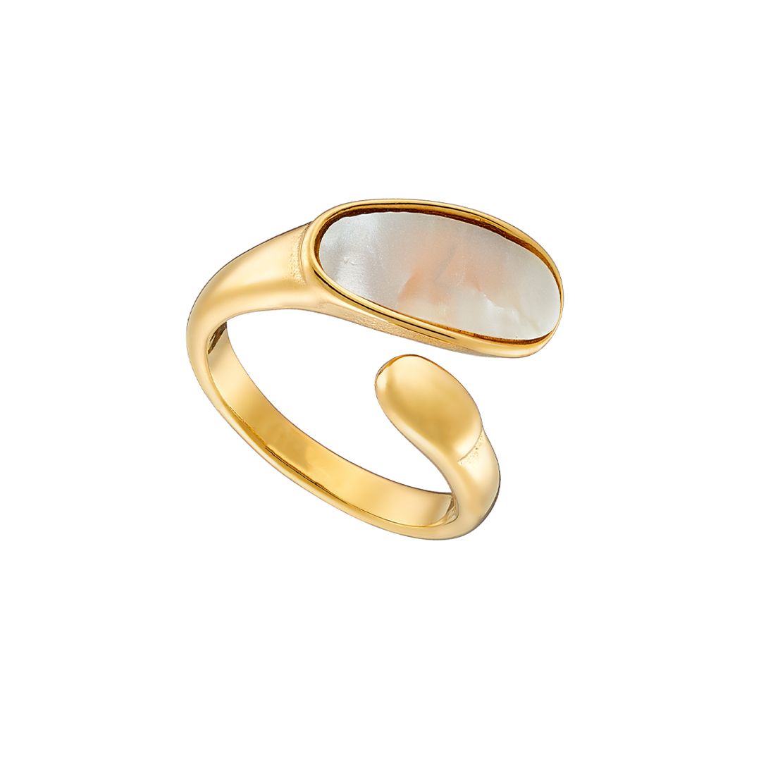 Δαχτυλίδι Από Ατσάλι Επιχρυσωμένο Με Φίλντισι AS37560