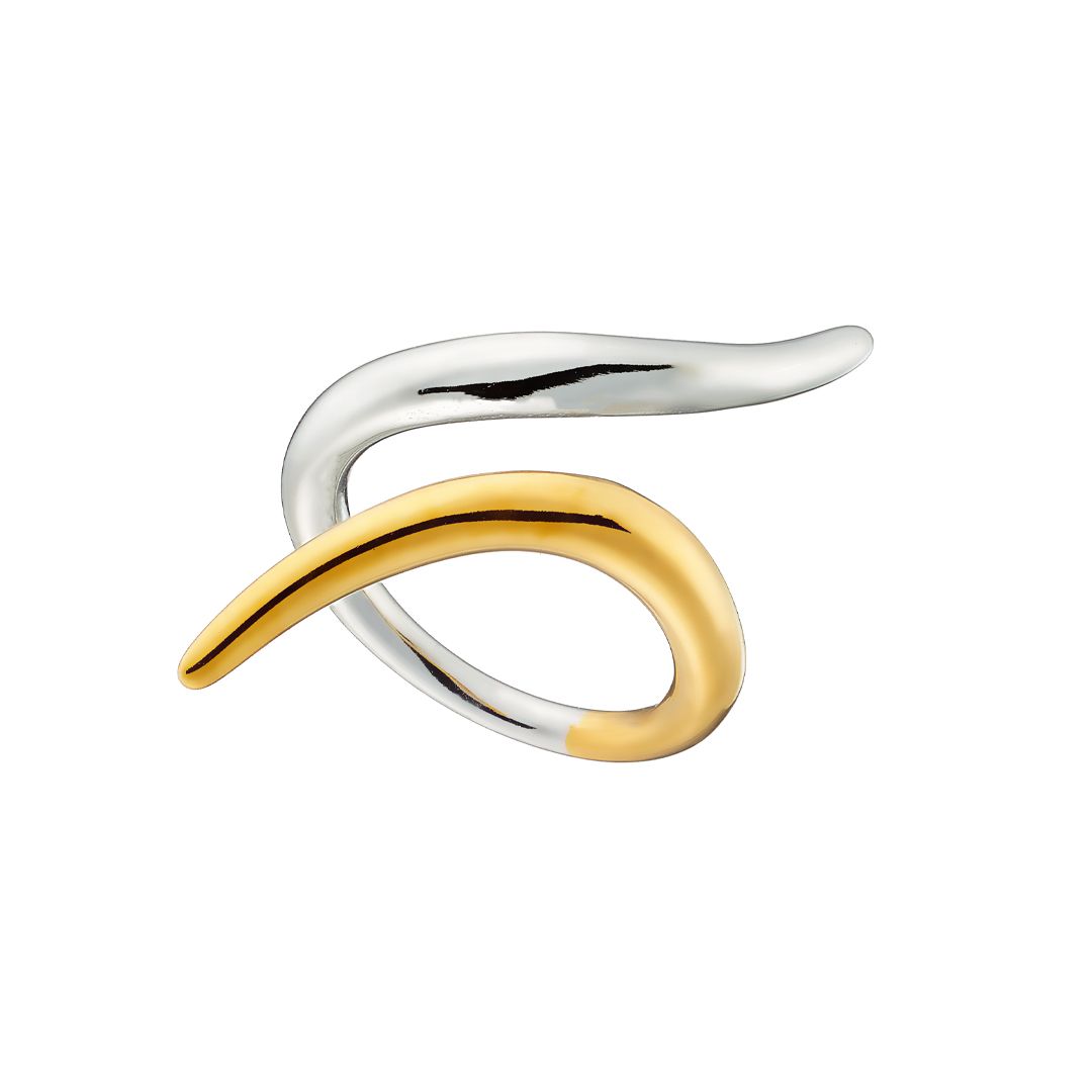 Δαχτυλίδι Δίχρωμο Από Ατσάλι Επιχρυσωμένο AS37566