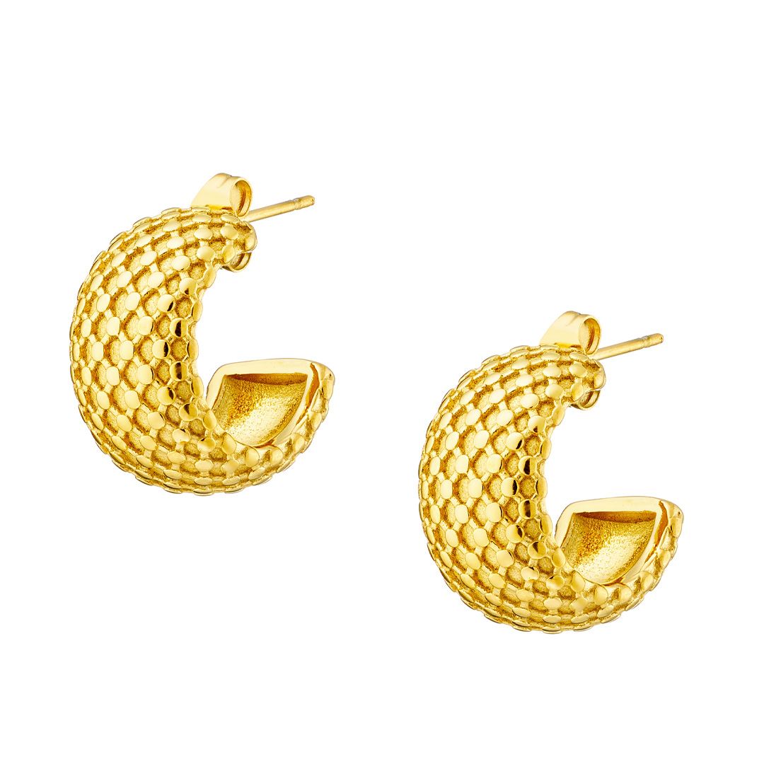 Σκουλαρίκια Κρίκοι Από Ατσάλι Επιχρυσωμένο 24Κ AS40108